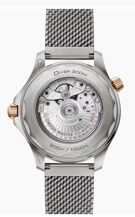 Omega Seamaster Diver 300M Titanium & Bronze Gold Ref # 21090422010001
