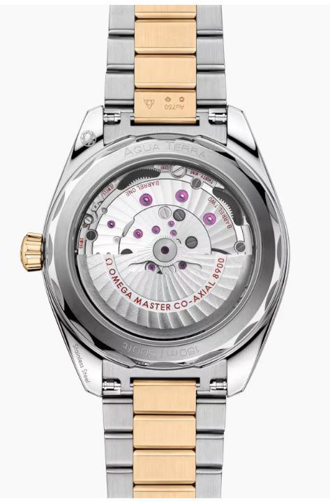 Omega Seamaster Aqua Terra Two Tone 18k Moonshine Gold Ref# 22020412101001